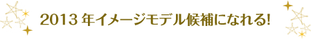 2013年イメージモデル候補になれる!