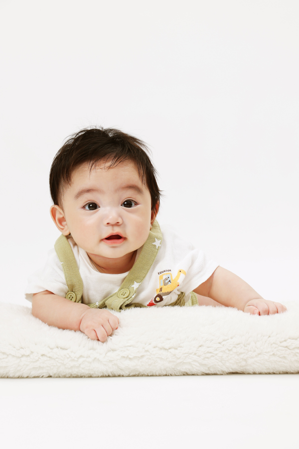 神宮王騎 関東 0～1歳  モデル画像06