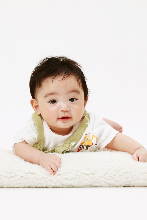 神宮王騎 関東 0～1歳  モデル画像07