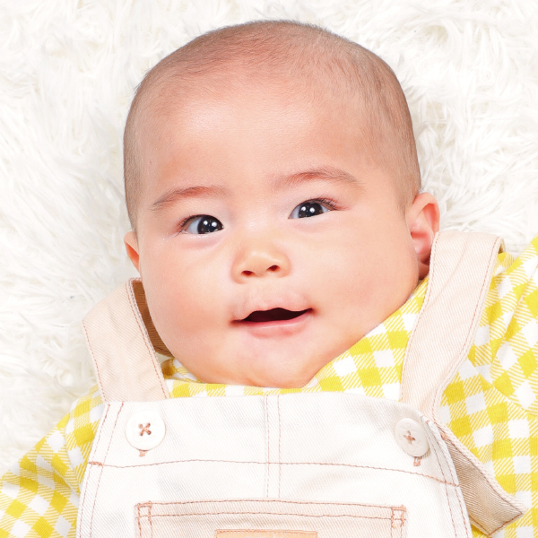 富田真生 東北 0～1歳 女の子