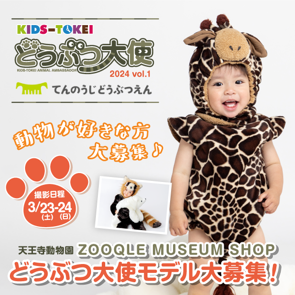 【関西限定】どうぶつ大使 in 天王寺動物園 2024 vol.1