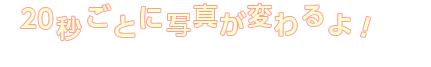 マウスオンすると写真が分かるよ！