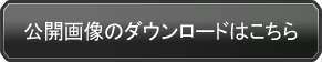 公開画像のダウンロードはこちら