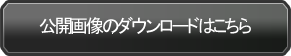 公開画像のダウンロードはこちら