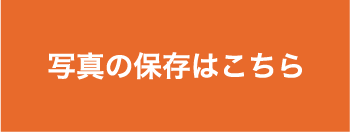 公開画像ダウンロード
