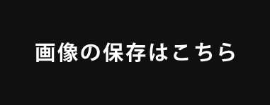 公開画像ダウンロード