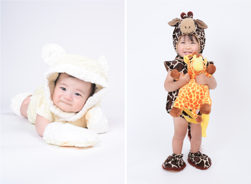 どうぶつ大使イメージ画像