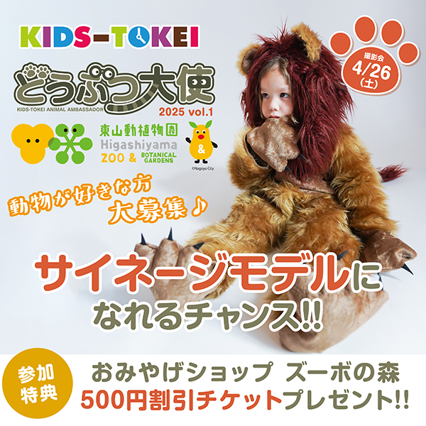 オーディション情報 15
