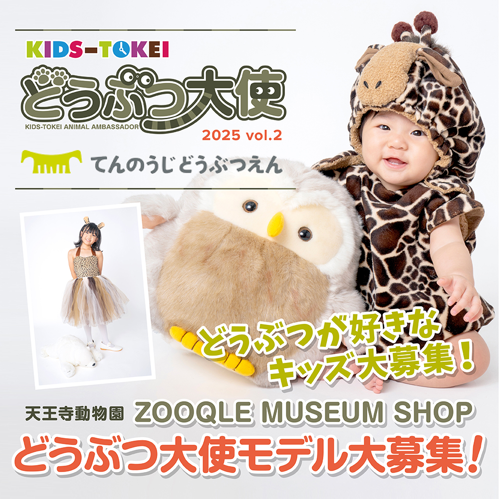オーディション情報 9