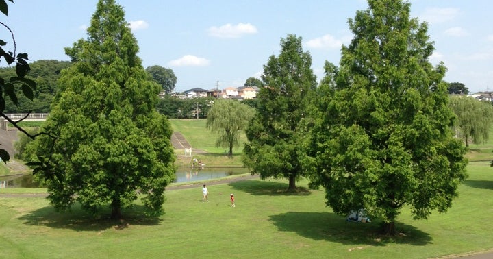 大宮第二公園