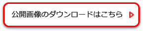 公開画像のダウンロードはこちら