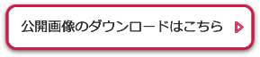 公開画像のダウンロードはこちら