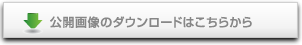 ダウンロードページ